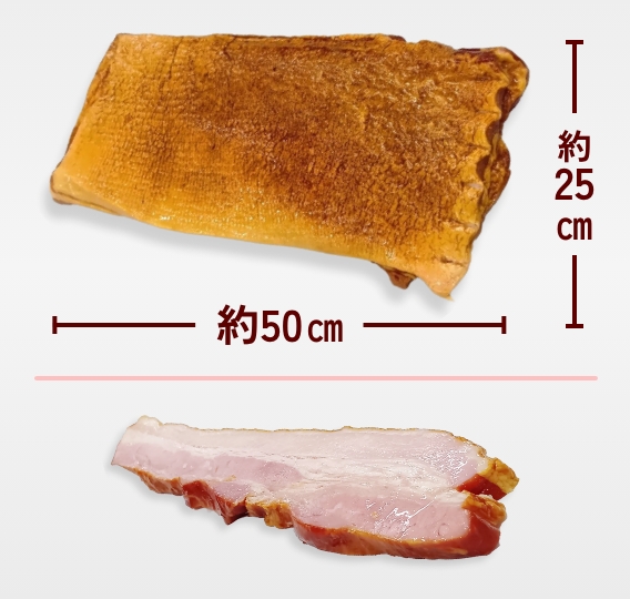 バラベーコン(リテーナー)